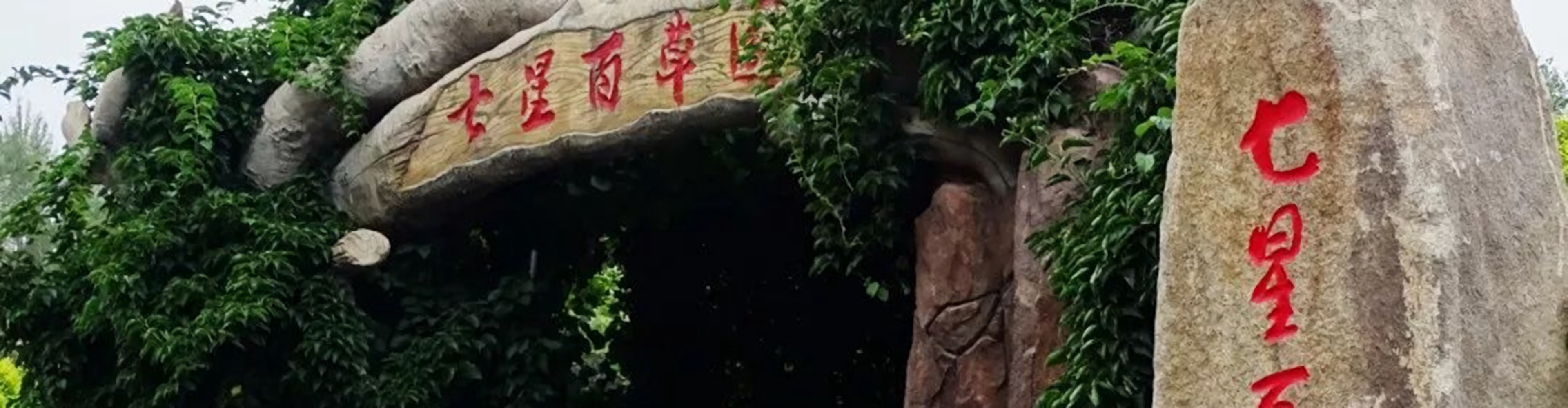 通栏图片